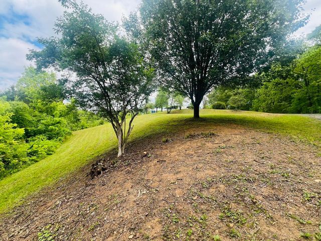 105 Lola Drive, Farner, TN 37333
