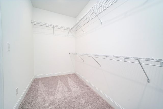 2595 Obsidian Court, Beech Island, SC 29842