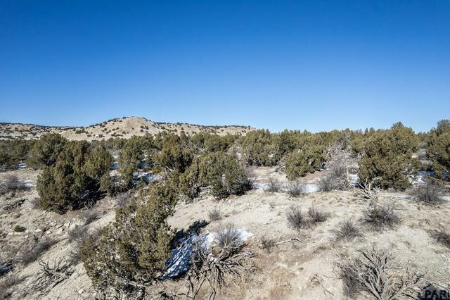 Lot 51 Ghost River Ranch, Rye, CO 81069