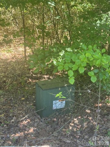 0 Desota Ridge 363, Rutherfordton, NC 28139