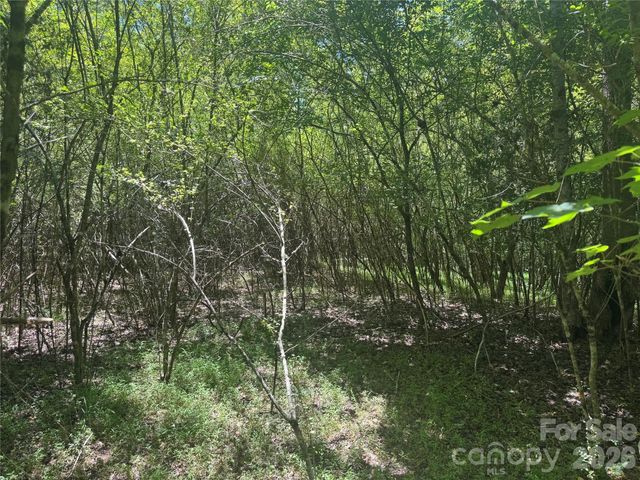 0 Desota Ridge 363, Rutherfordton, NC 28139