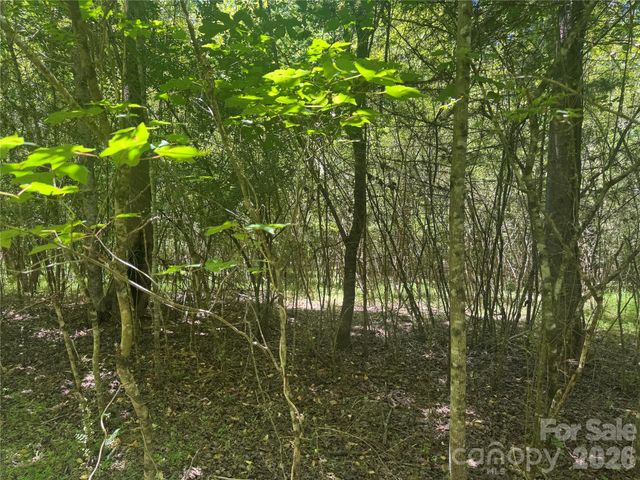 0 Desota Ridge 363, Rutherfordton, NC 28139