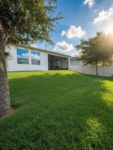 2822 BIGLEAF MAPLE DRIVE, Ocoee, FL 34761