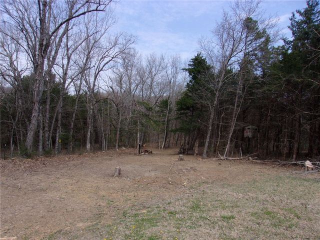 11135 Remi Drive, Elkins, AR 72727