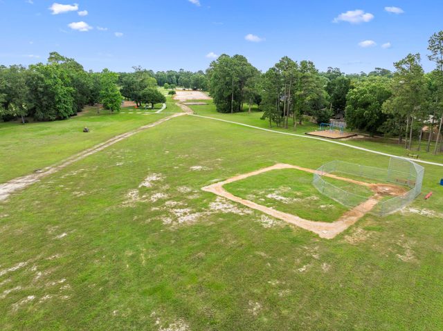 29106 Foxingham Circle, Spring, TX 77386