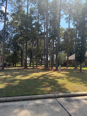 19 Grey Moss Lane, Montgomery, TX 77356