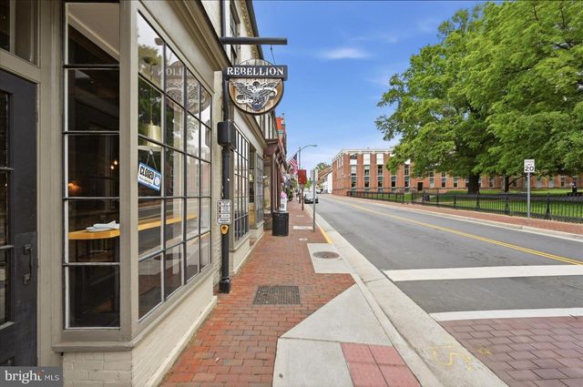 254 BLUEMONT BRANCH TER SE, Leesburg, VA 20175