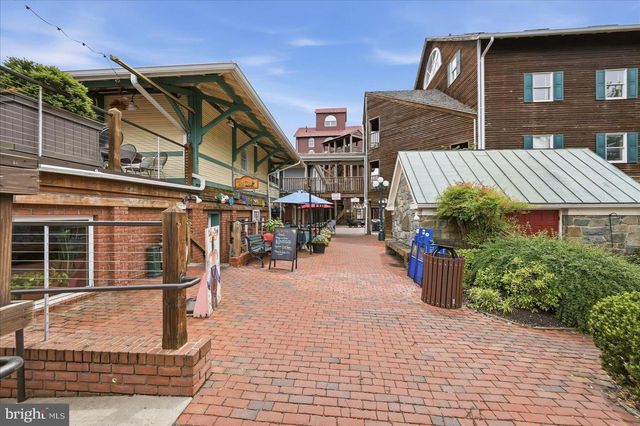 254 BLUEMONT BRANCH TER SE, Leesburg, VA 20175