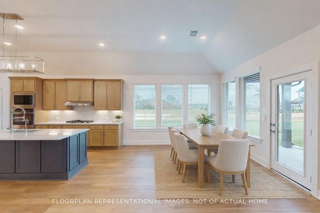 21711 Hibiscus Hedge Trail, Tomball, TX 77447