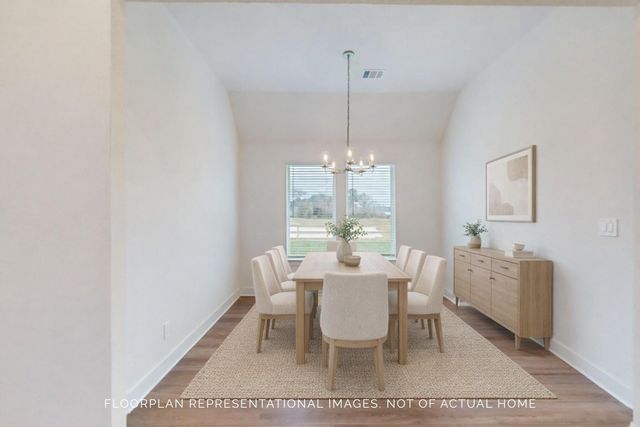 21711 Hibiscus Hedge Trail, Tomball, TX 77447