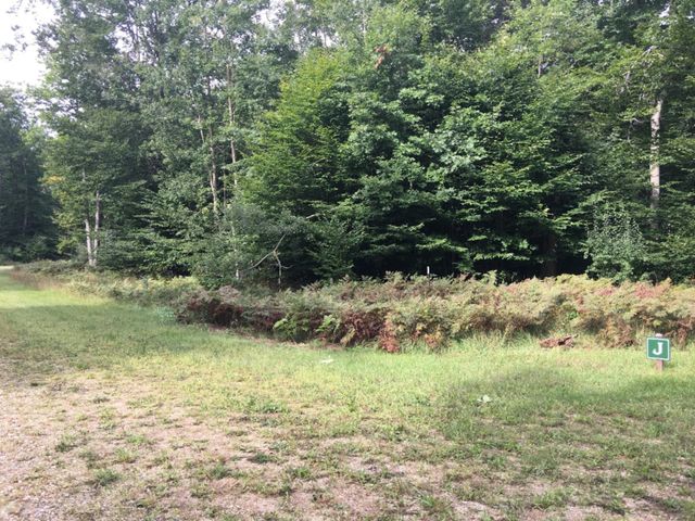 Wildwood Trail, Manistee, MI 49660