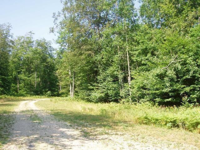 Wildwood Trail, Manistee, MI 49660