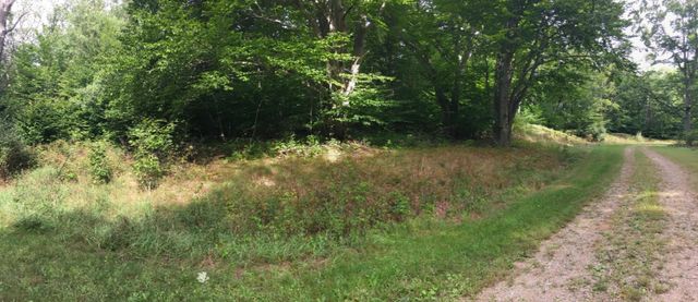 Wildwood Trail, Manistee, MI 49660