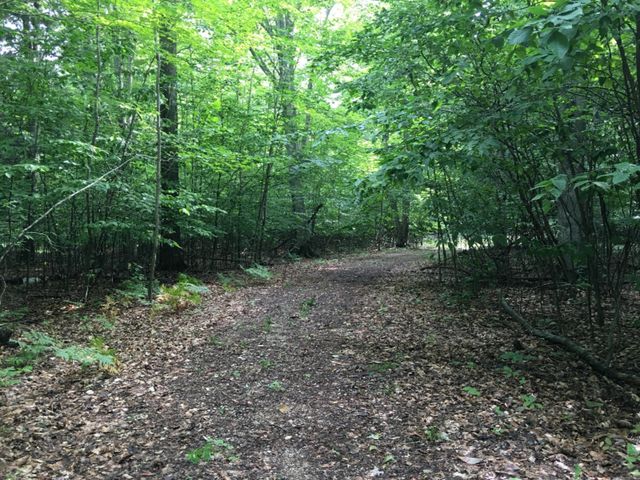 Wildwood Trail, Manistee, MI 49660