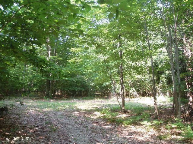 Wildwood Trail, Manistee, MI 49660