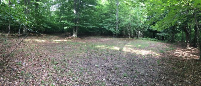 Wildwood Trail, Manistee, MI 49660