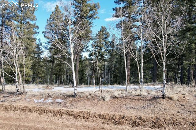 278 Cherry Lake Drive, Divide, CO 80814