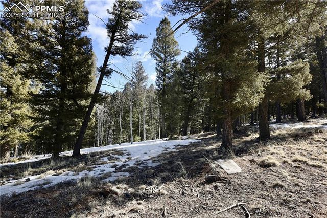 278 Cherry Lake Drive, Divide, CO 80814