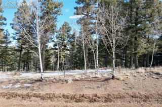 278 Cherry Lake Drive, Divide, CO 80814