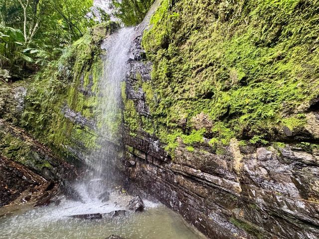 955 C1 EAST 150, Rio Grande, PR 00745