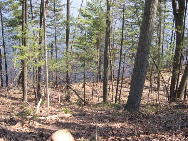 1597 Edgewater Ridge, Traverse City, MI 49684