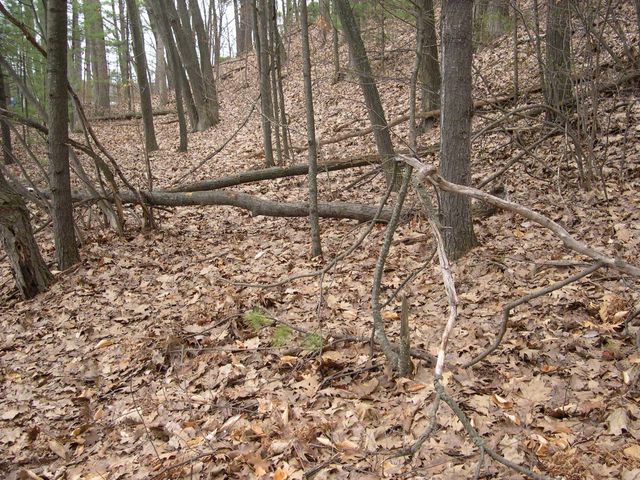 1597 Edgewater Ridge, Traverse City, MI 49684