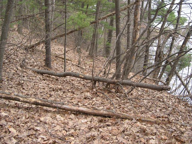 1597 Edgewater Ridge, Traverse City, MI 49684