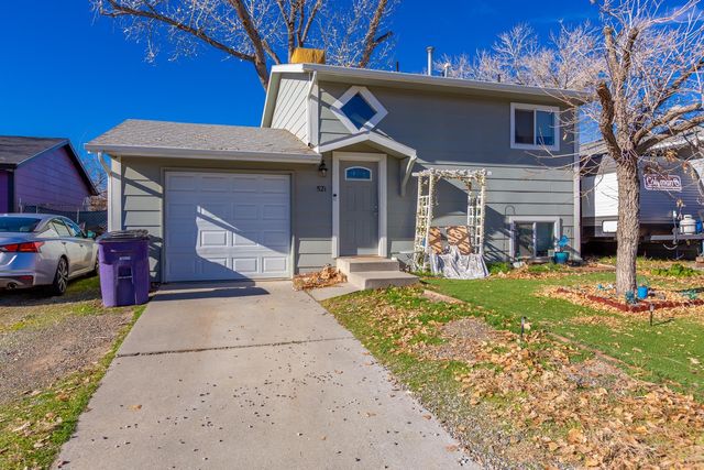 521 Horn Baker Court, Clifton, CO 81520
