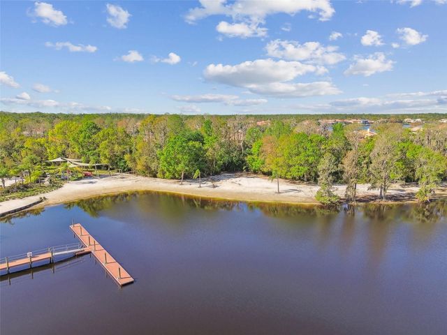 10801 BARBADOS ISLE DRIVE, Tampa, FL 33647