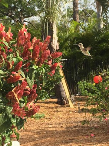 153 N River Drive E, Jupiter, FL 33458