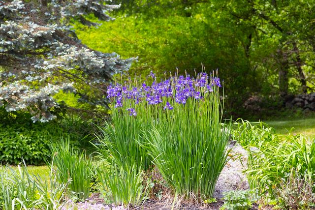 860 Briar hill Road, Hopkinton, NH 03229