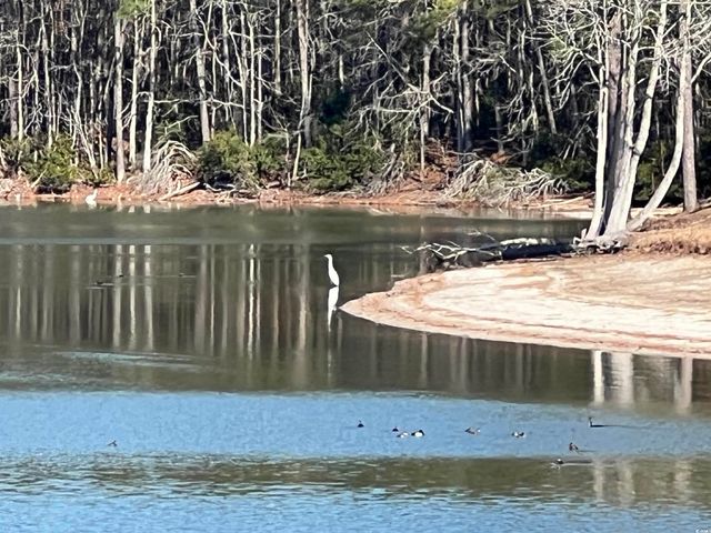 1617 Crystal Lake Dr., Myrtle Beach, SC 29575