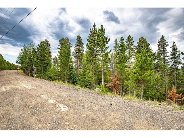 1111 Vista Rd, Idaho Springs, CO 80452