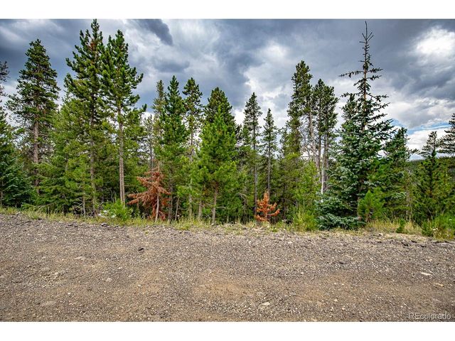 1111 Vista Rd, Idaho Springs, CO 80452
