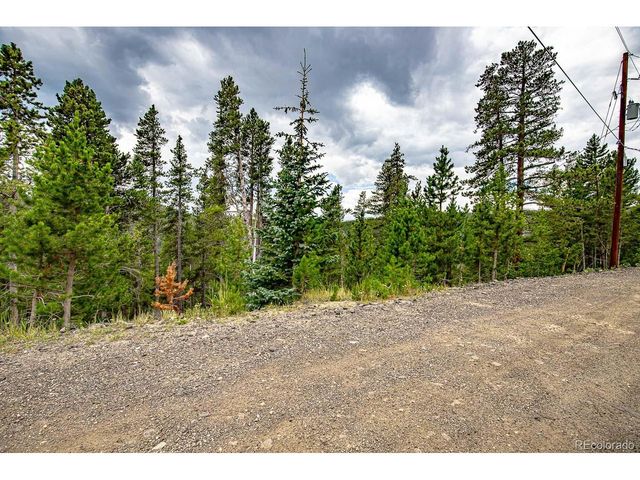 1111 Vista Rd, Idaho Springs, CO 80452