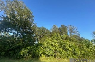 Lot B-4 Perrilloux Rd, Livingston, LA 70754