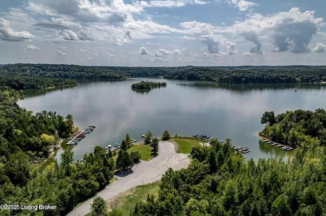 827 Lakeview Cir, Clarkson, KY 42726