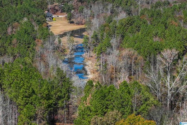 8799 SHADES FALLS WAY, Bessemer, AL 35022