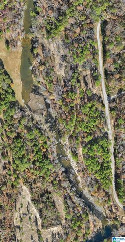 8799 SHADES FALLS WAY, Bessemer, AL 35022