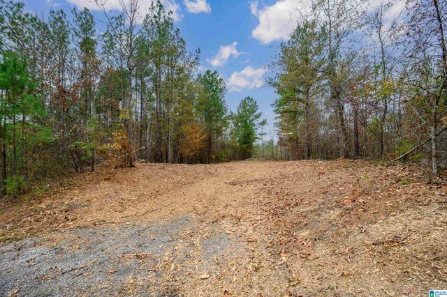 8799 SHADES FALLS WAY, Bessemer, AL 35022