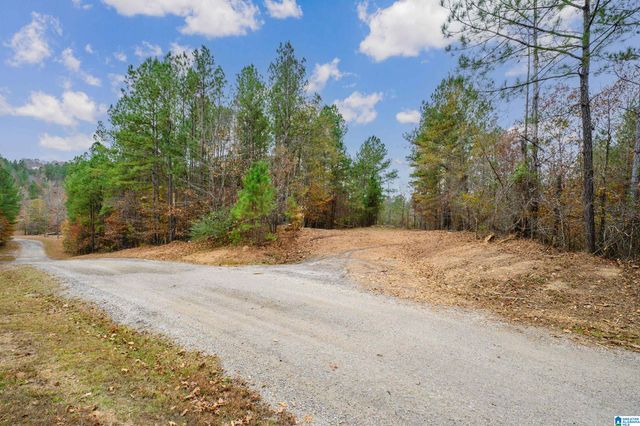 8799 SHADES FALLS WAY, Bessemer, AL 35022