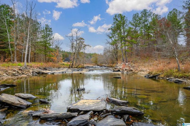 8799 SHADES FALLS WAY, Bessemer, AL 35022