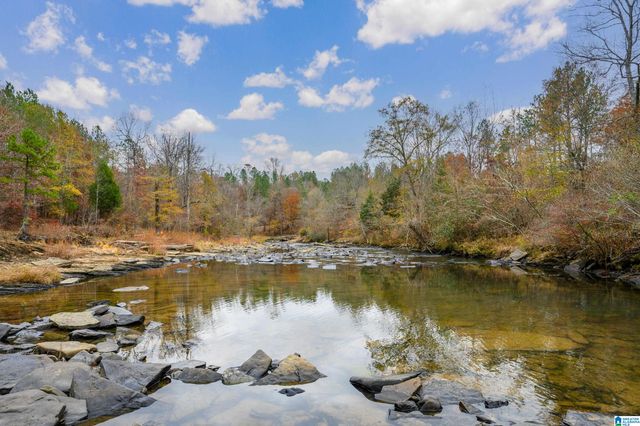 8799 SHADES FALLS WAY, Bessemer, AL 35022