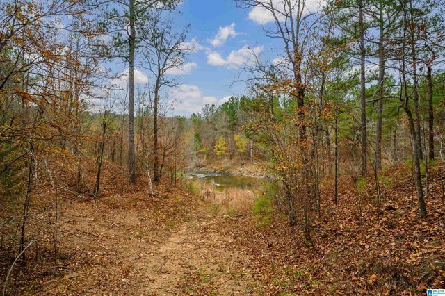 8799 SHADES FALLS WAY, Bessemer, AL 35022