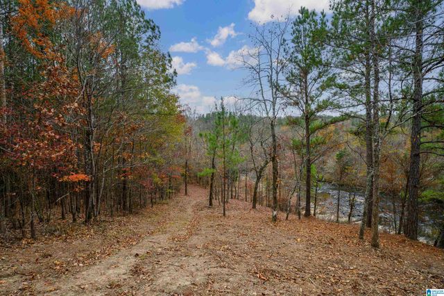 8799 SHADES FALLS WAY, Bessemer, AL 35022