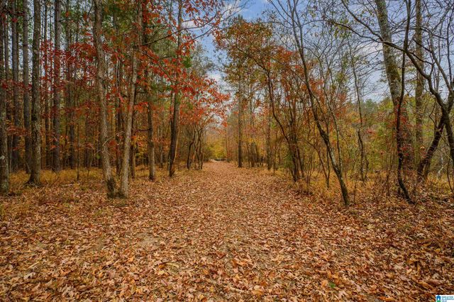 8799 SHADES FALLS WAY, Bessemer, AL 35022