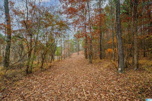 8799 SHADES FALLS WAY, Bessemer, AL 35022