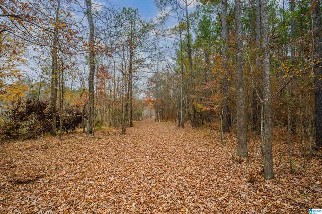 8799 SHADES FALLS WAY, Bessemer, AL 35022