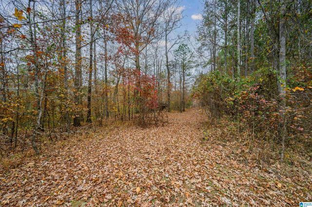 8799 SHADES FALLS WAY, Bessemer, AL 35022