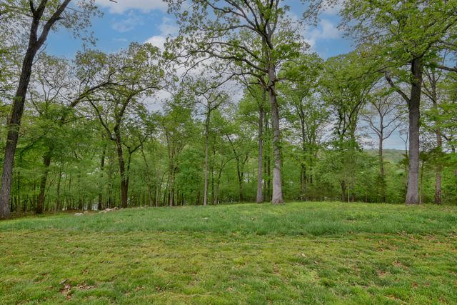 139 Palasade Court, Forsyth, MO 65653